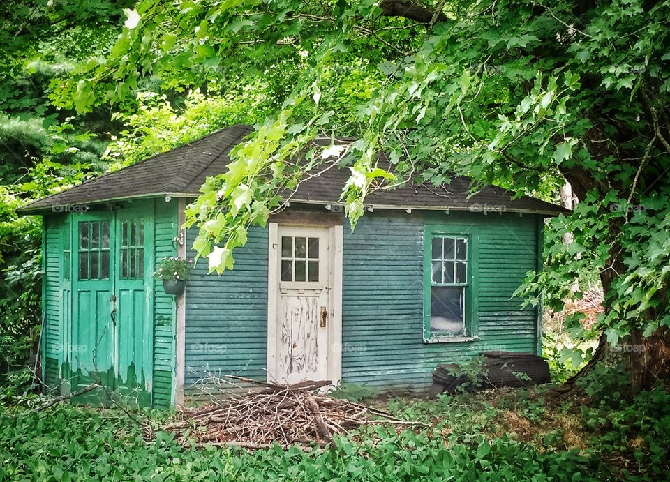 Green on green shed 