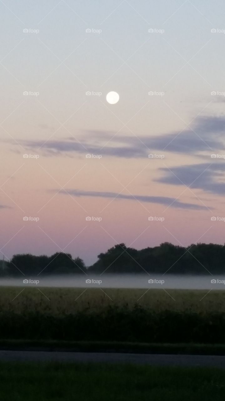 Mist and the moon