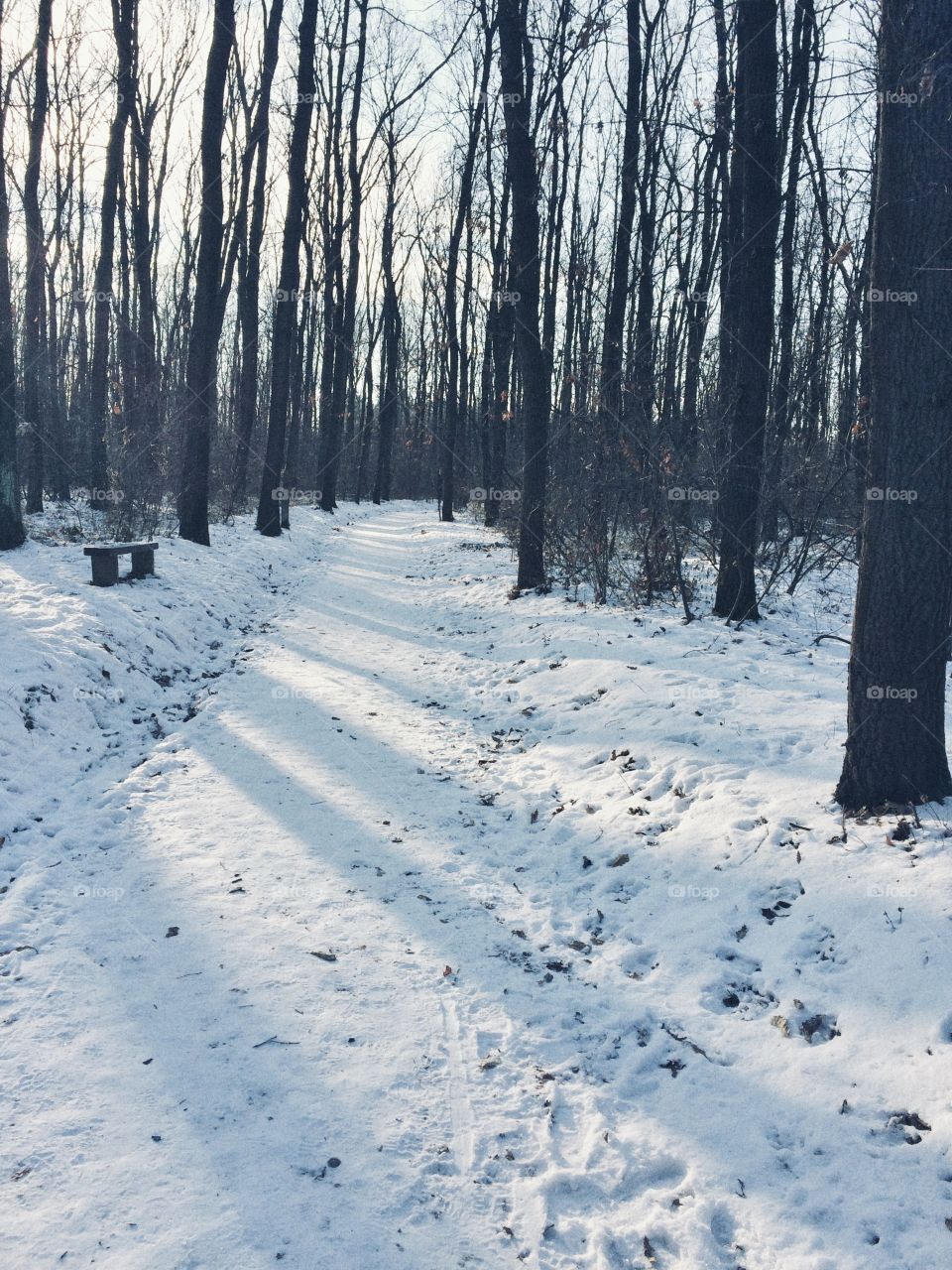 Oh, those snowy days! It’s always nice to take a walk through the woods and the snow all around you makes the walk even more special and magical.
