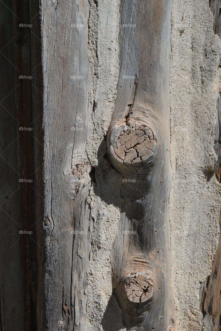 Side of old wood log with knot growth weathered, cracked, rough textures 