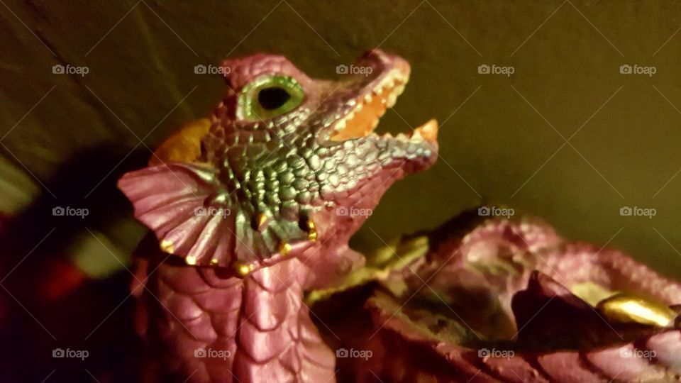 Beautiful macro shots