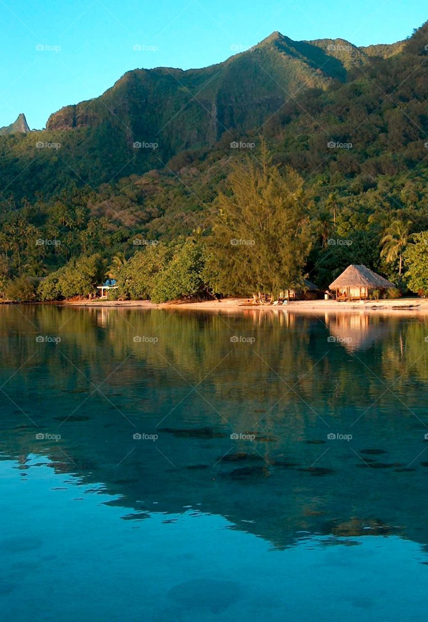Moorea bungalow. Morning sun illuminating a beach bungalow in Moorea, French Polynesia