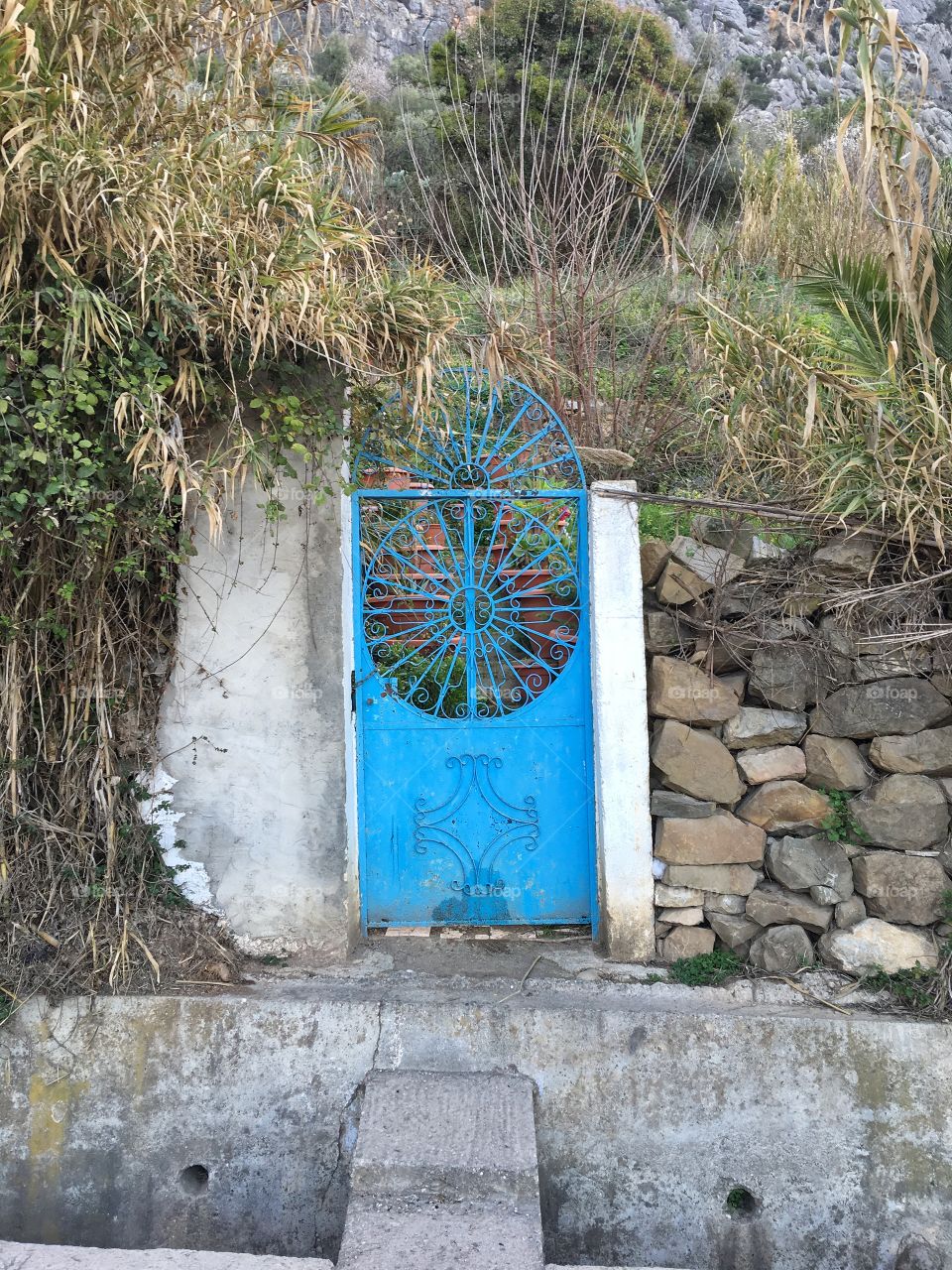 Blue gate 