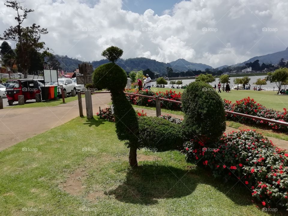 Random clicks # creativity