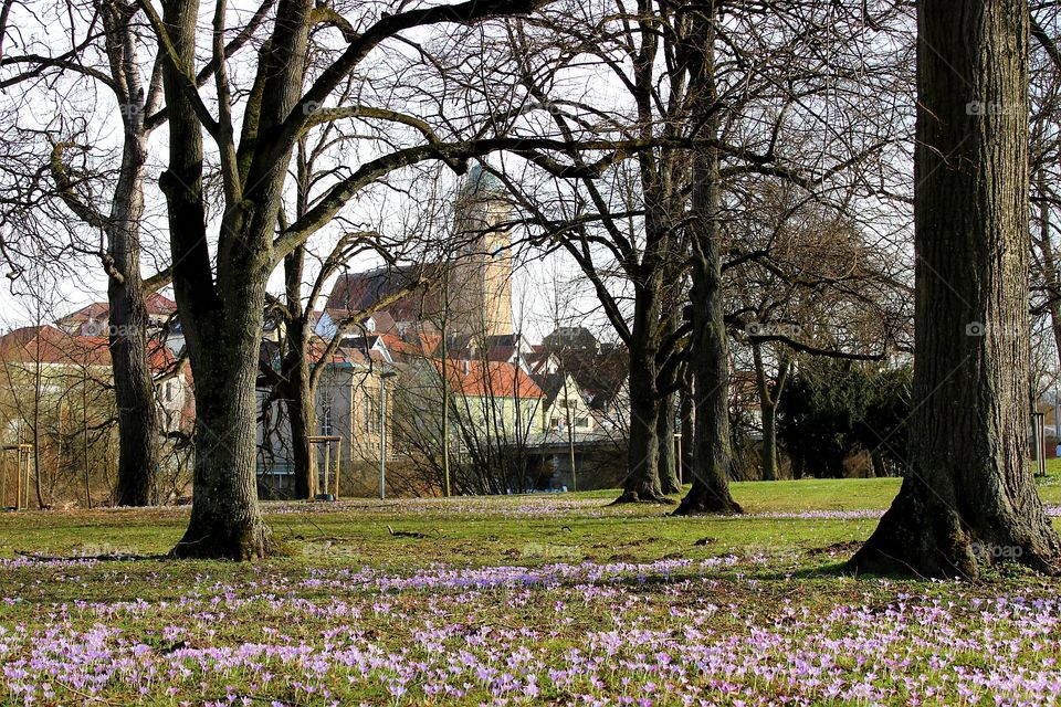 Nürtingen im Frühling