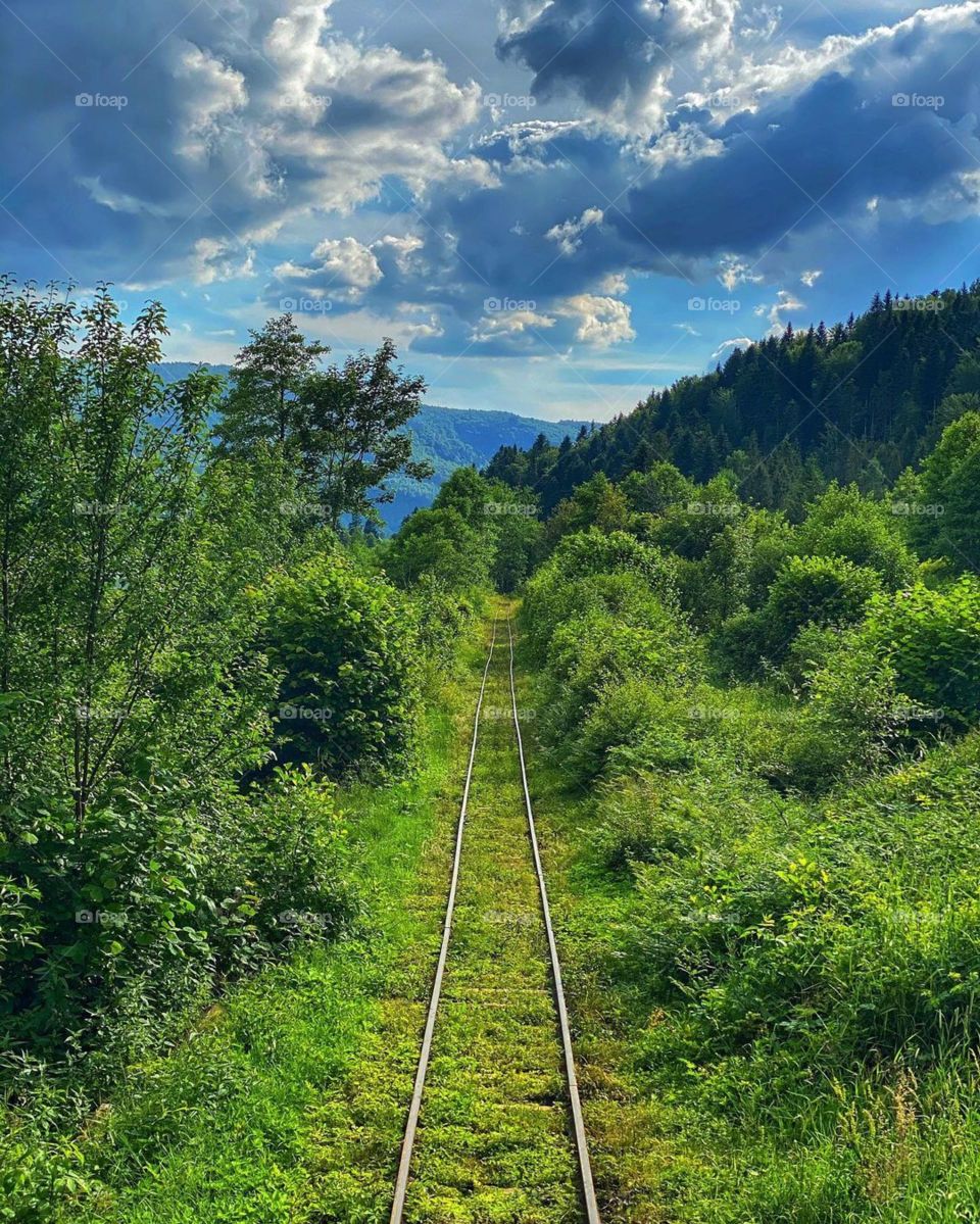 railway in a beautiful area