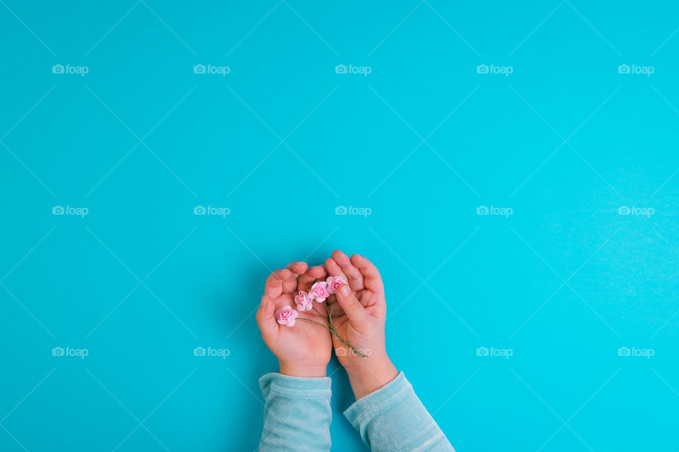 Hands of little girl with pink flowers on blue background. Conceptual. Top view. Copy space