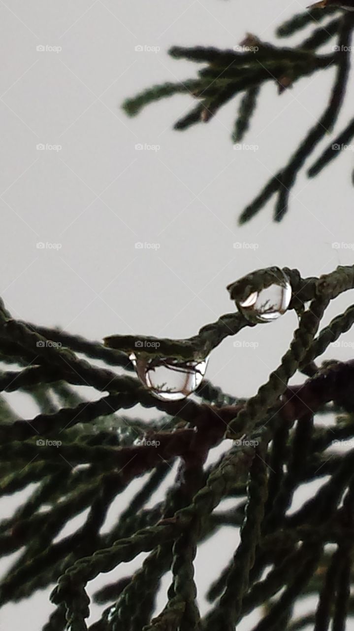 water drop macro. water drop macro