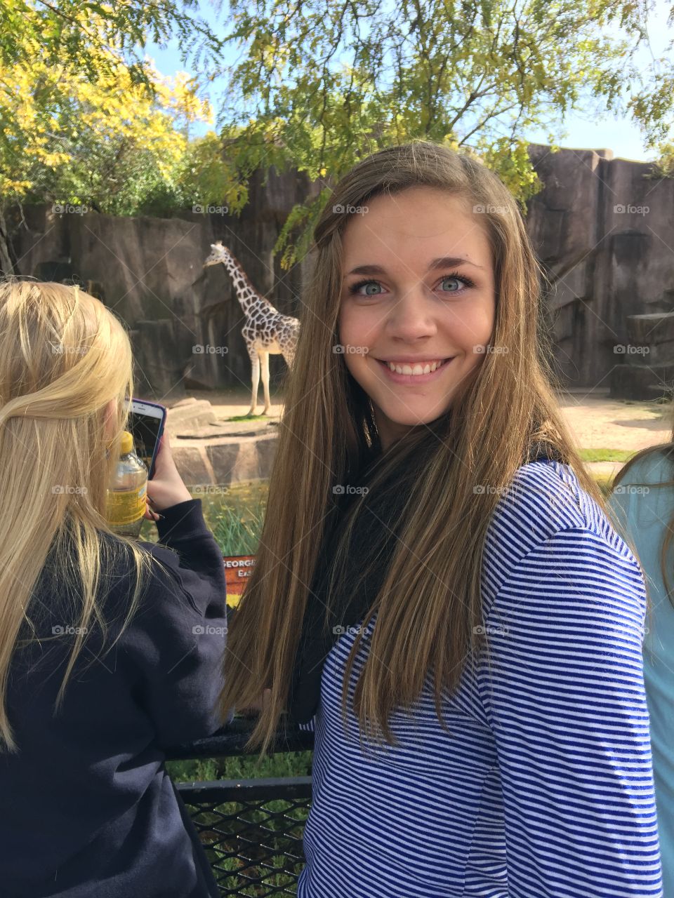 Giraffes at the zoo! 