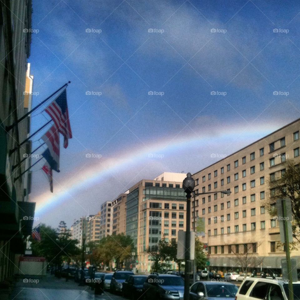 D.C. Rainbow