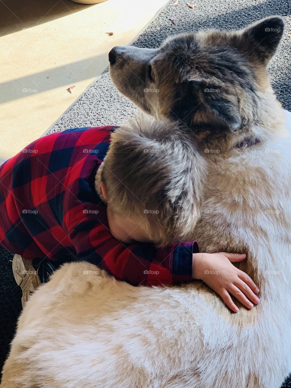 Giving hugs to a dog 