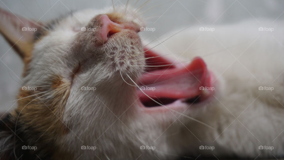 people talking about my behave