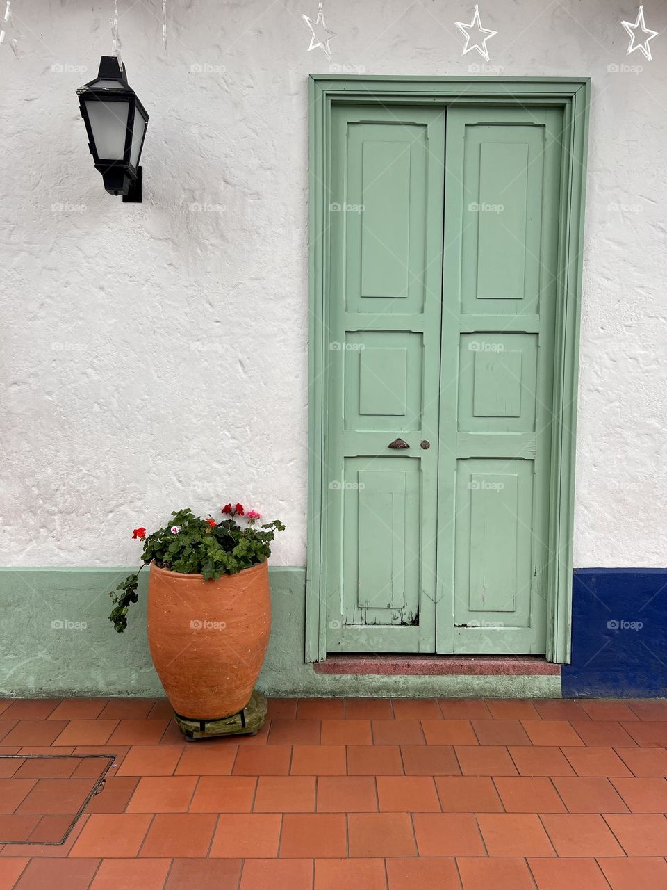Green door and pot flowers 