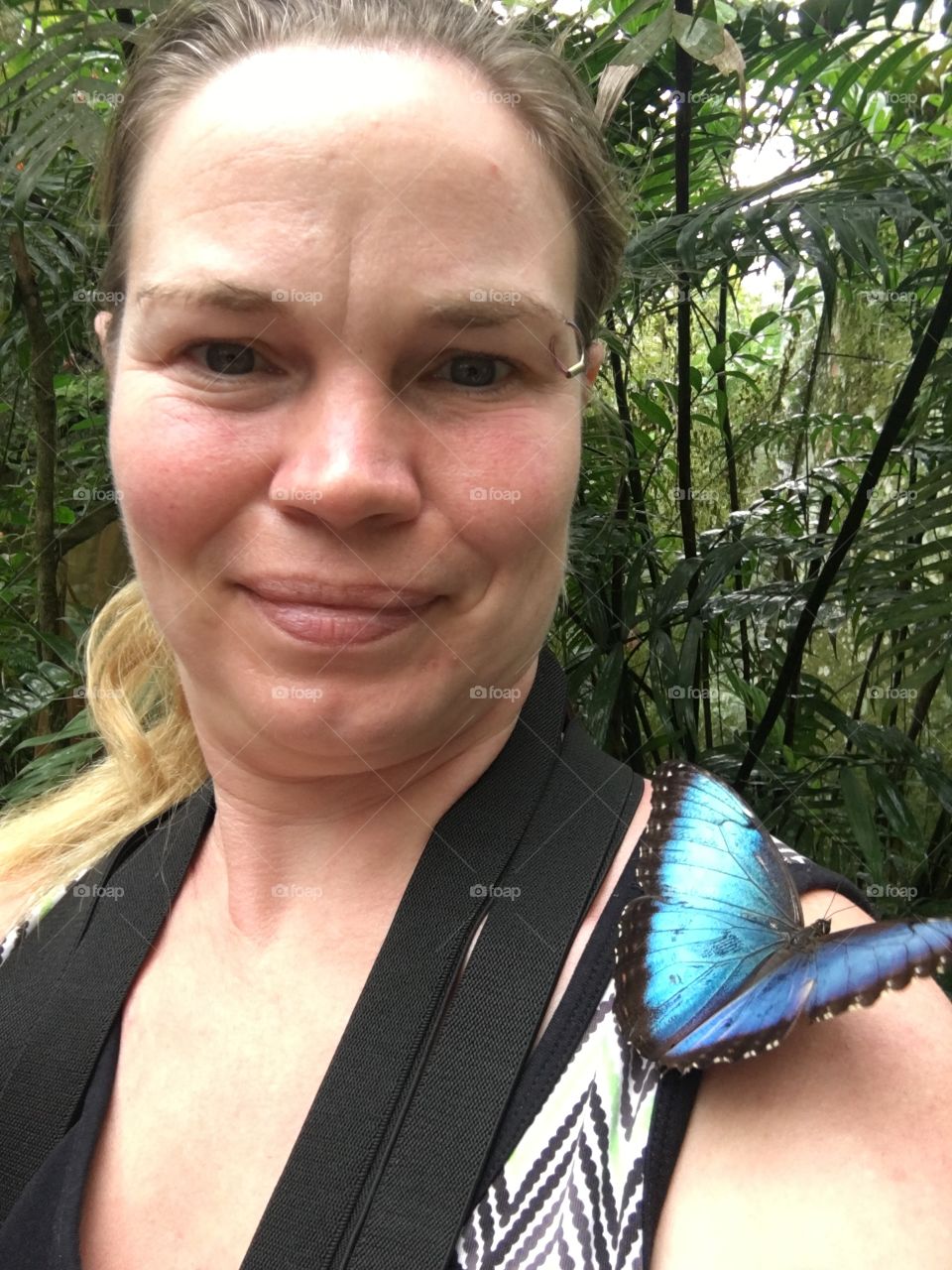 Blue Morpho Butterfly on my shoulder in Costa Rica 