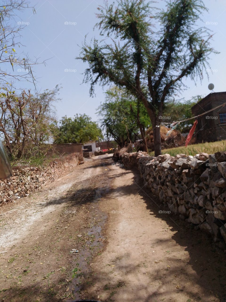 Road of Village
