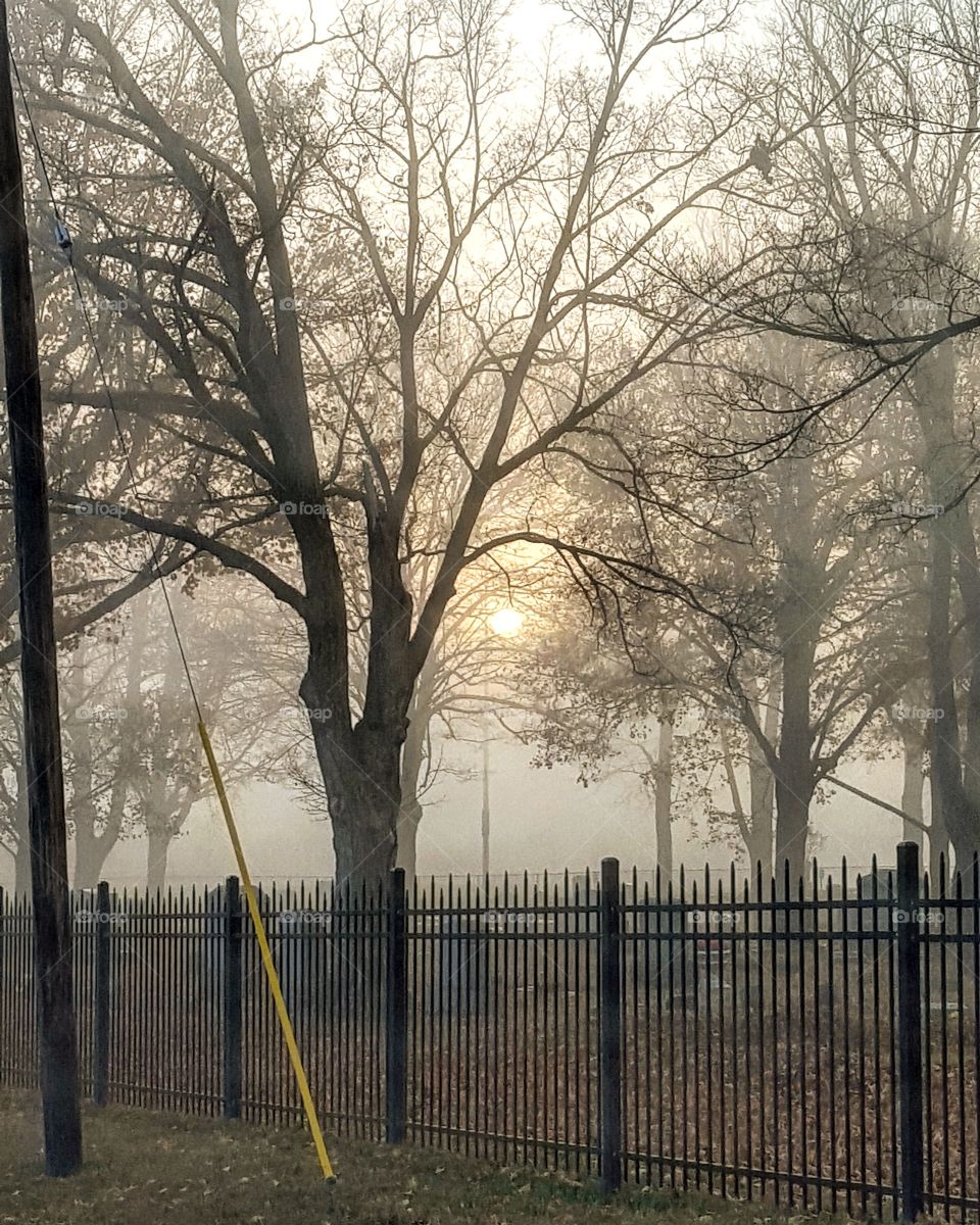 Misty Graveyard. Misty morning graveyard