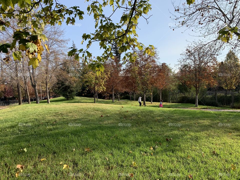 Paisaje verde otoñal