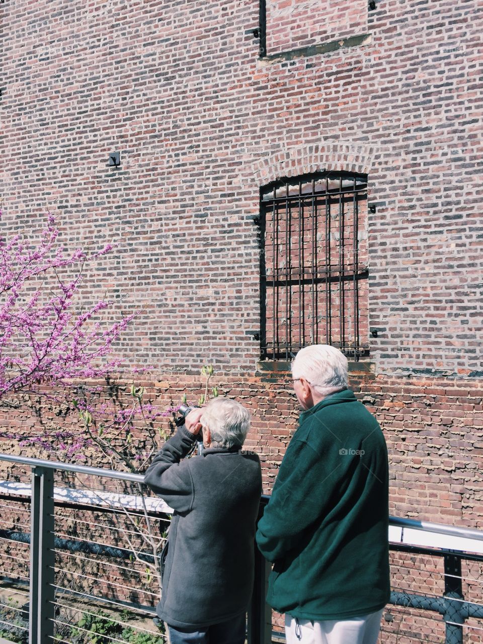 Nyc. April 2016