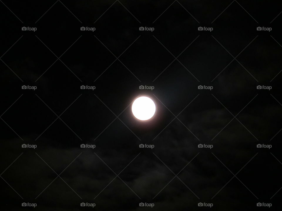 Light in the Darkness