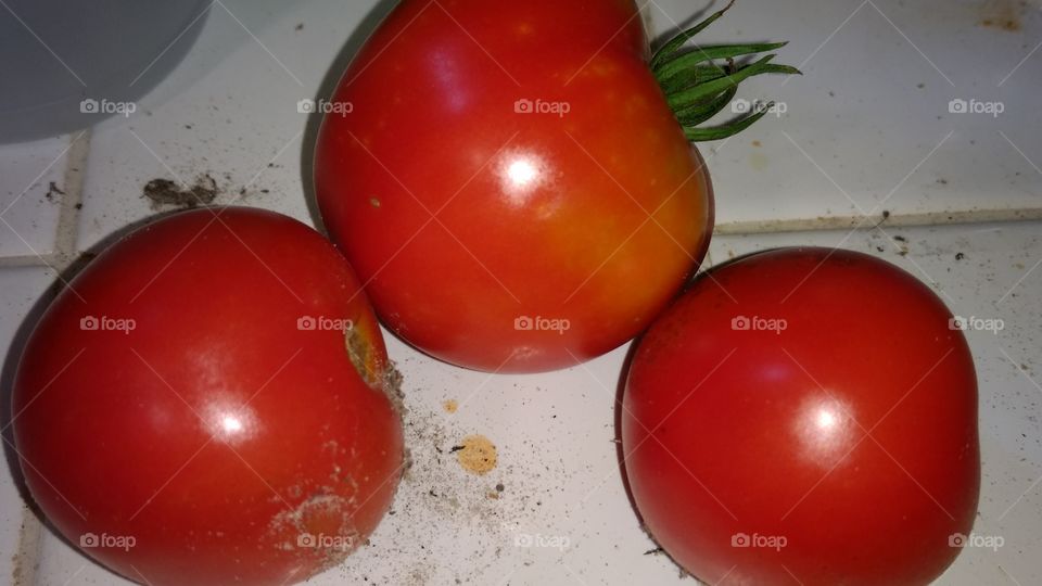 tomatoes on counter