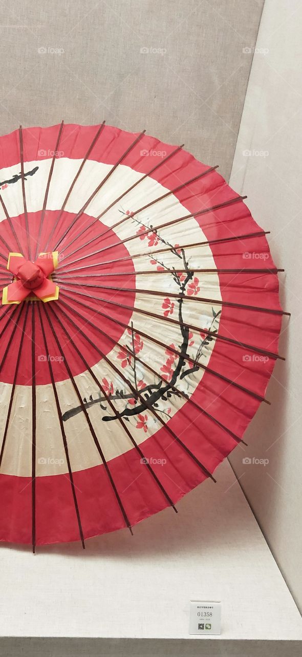 chinese umbrella