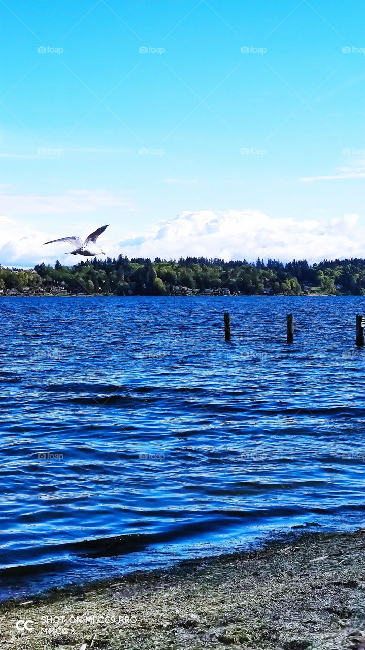 Beach and Bay series