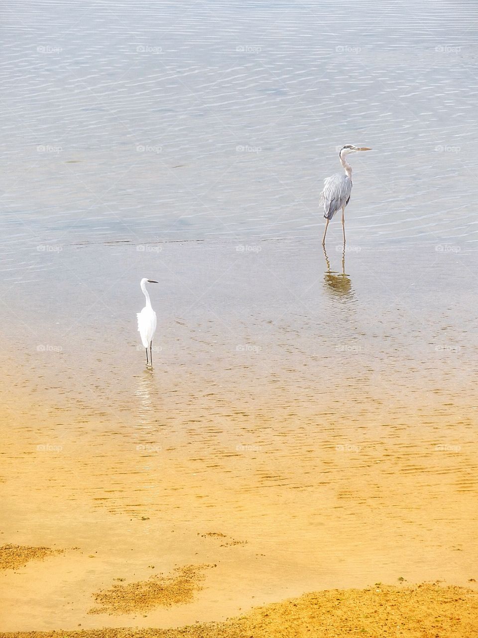 Bird sanctuary Porto