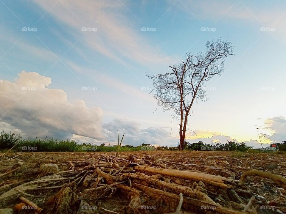 Life is like a landscape