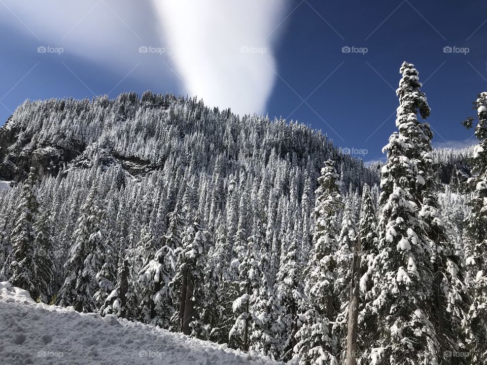 Snow, Winter, Frost, Cold, Mountain