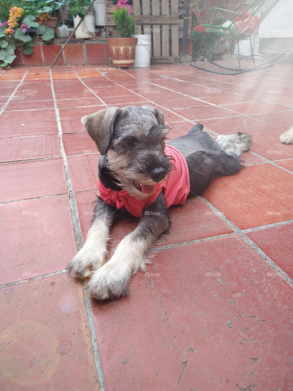 acá casual!!! en una tarde calurosa en mi hermosa ciudad.