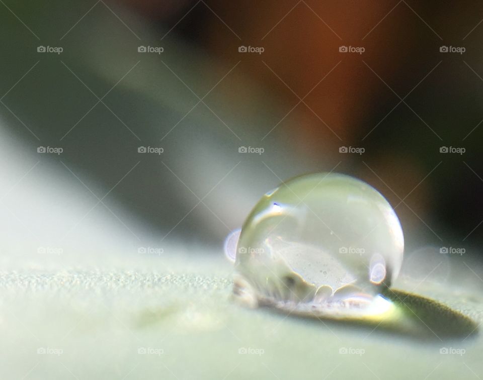 drop of water