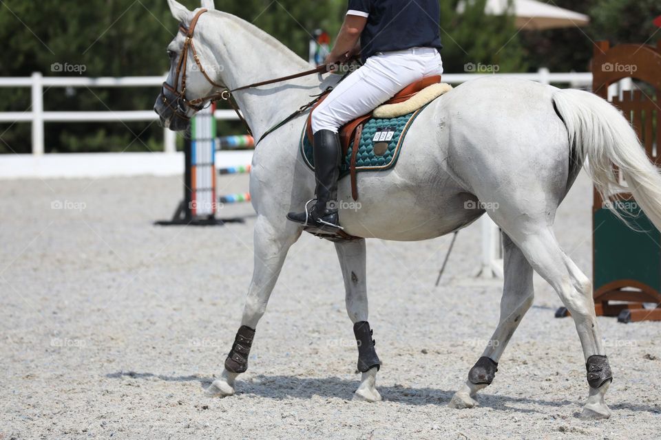 Horse and rider jumping on show jumping competition