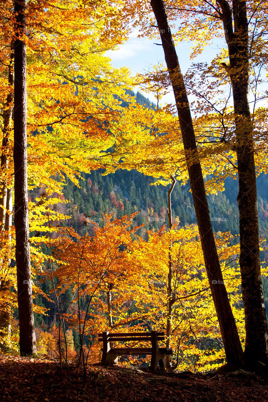 Fall in Bavaria