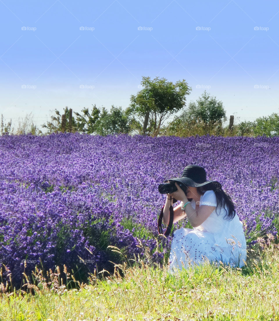 Photographer. Lavender field 