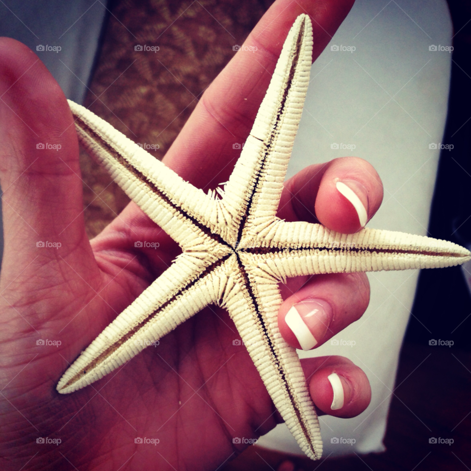 beach pretty nails starfish by kiraing