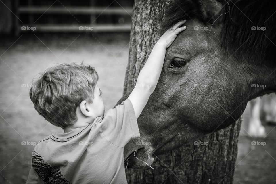 Head Scratch