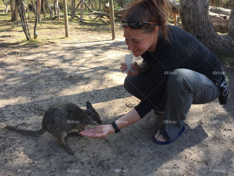 My first time hand feeding a ever so gentle baby wallaby, at the Moonlight Sanctuary in Victoria, Austalia. 
