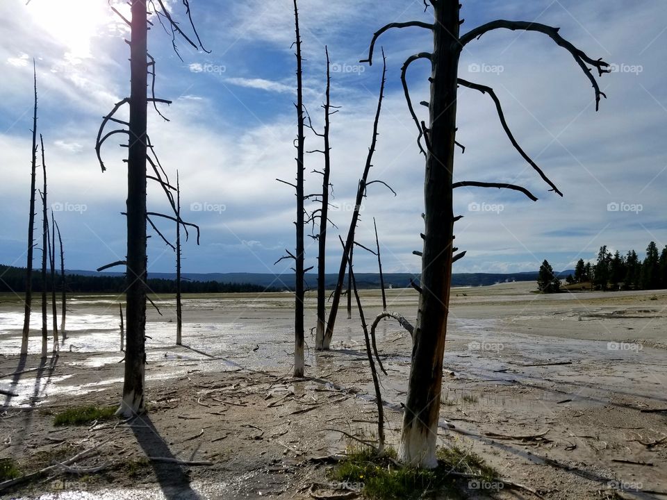 perfect imperfections