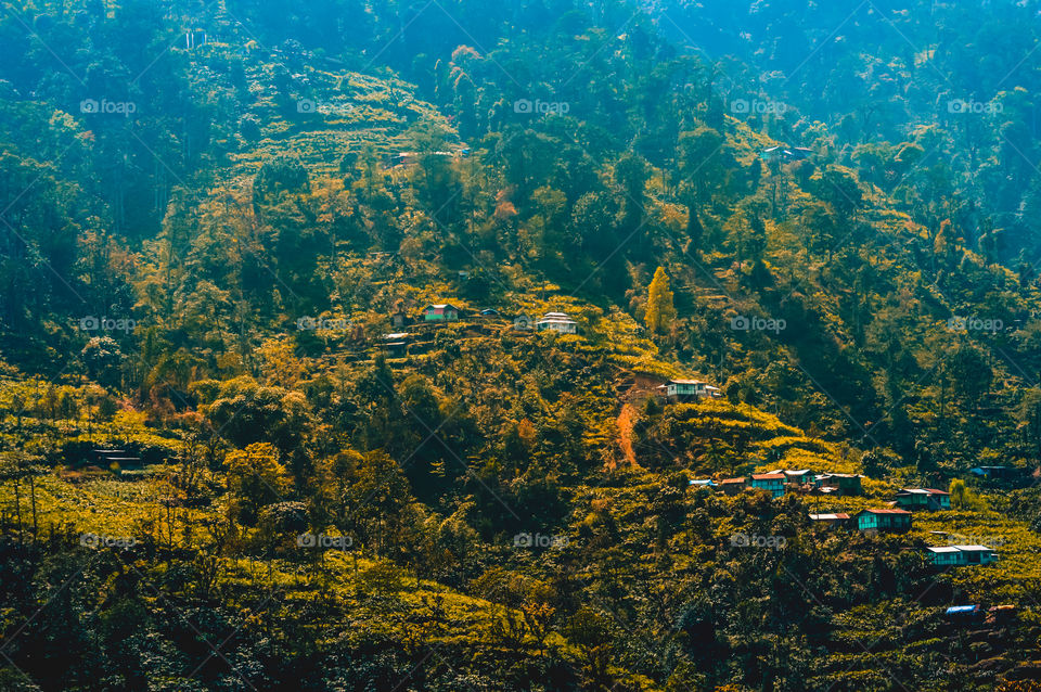 Panorama landscape view of Himalayan Kashmir valley, Himalaya, India, Asia.