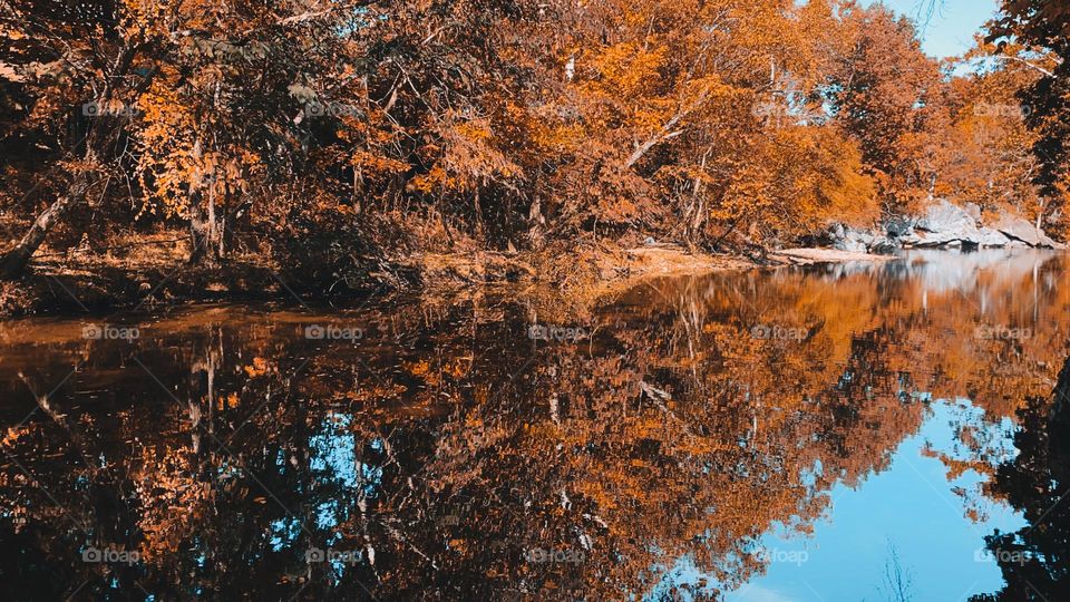 Reflections in the river