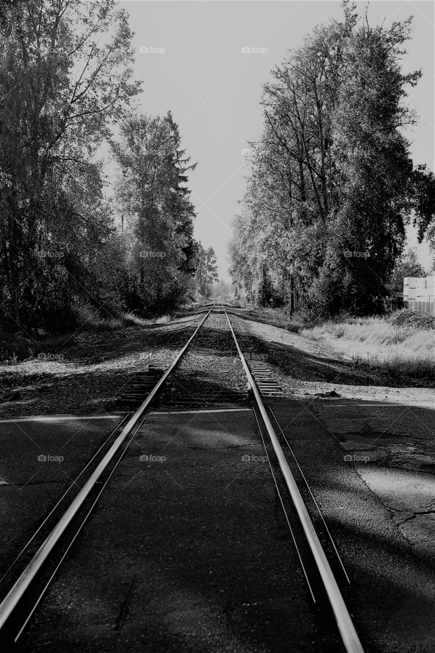 tracks to no where