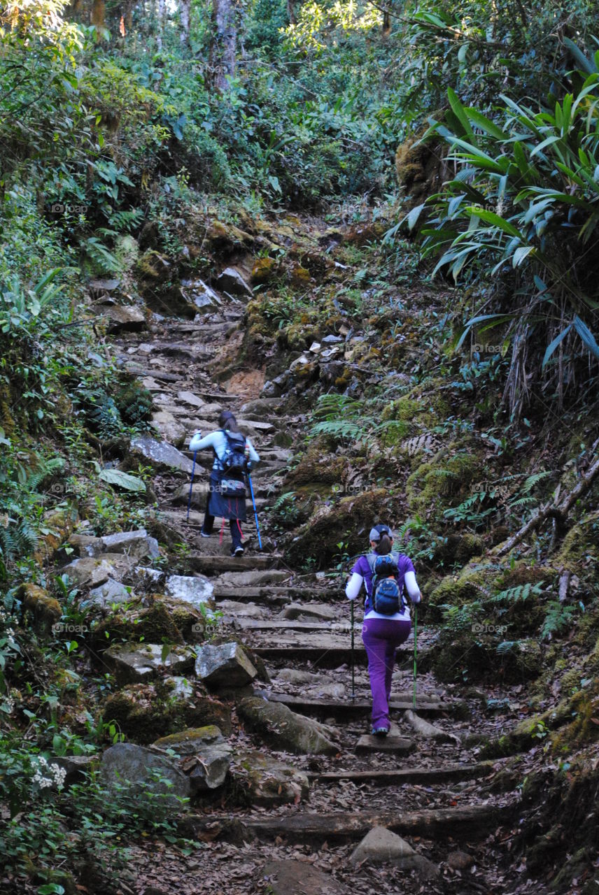 Chirripo trail