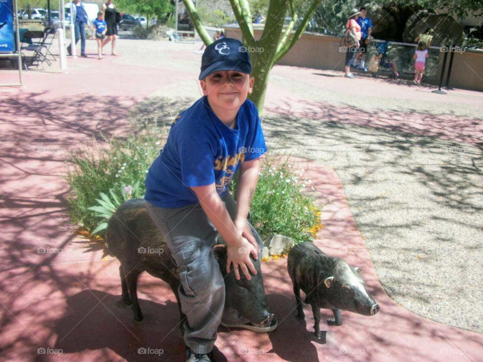 Riding a javalina