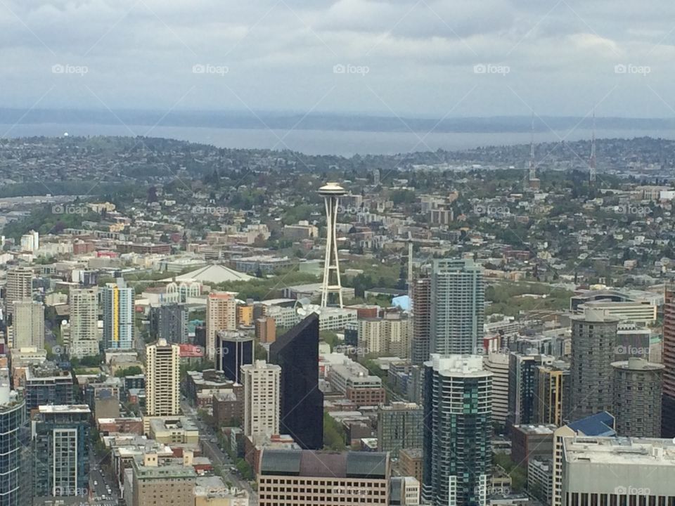 View of Seattle and the space needle from the sky tower.