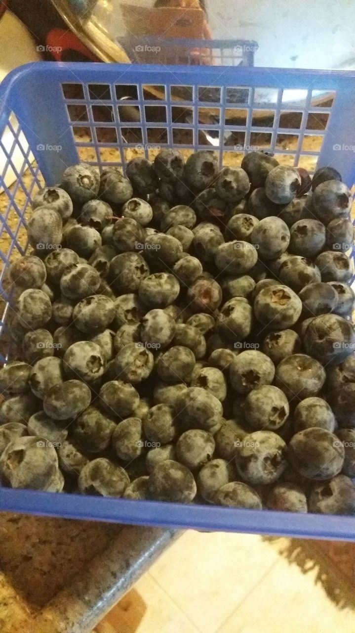 yummy blueberries