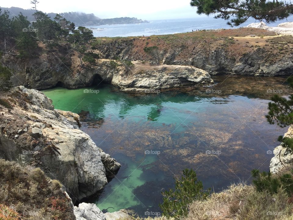 Point Lobos View 2