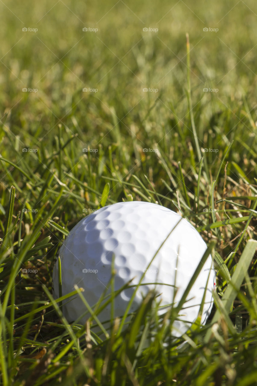 sport green white grass by redrock