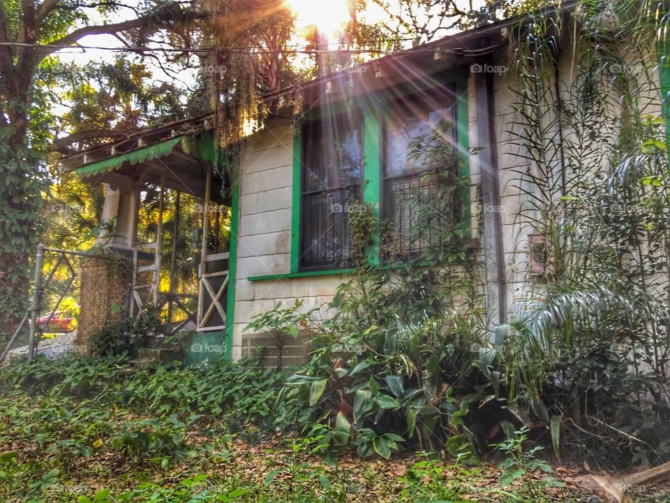 Abandoned house 