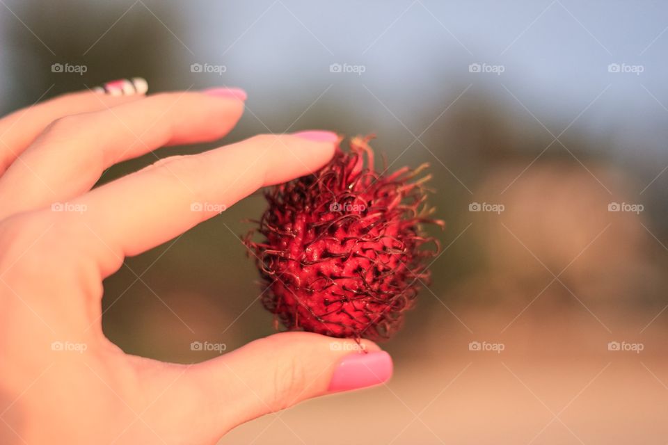 Exotic fruit in the hand 