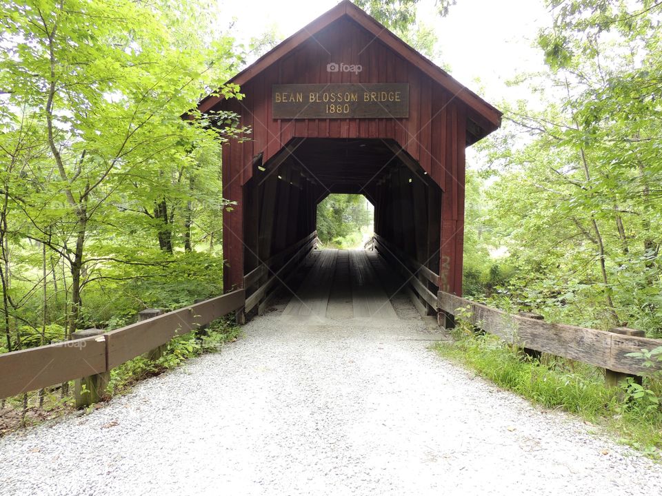 Bean blossom bridge. Bridge in Indiana 